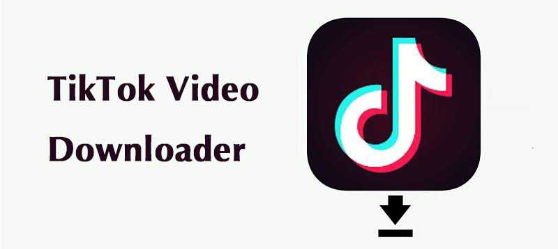 ONLINE EASY AND FREE TIKTOK VIDEO DOWNLOADER - Act4apps