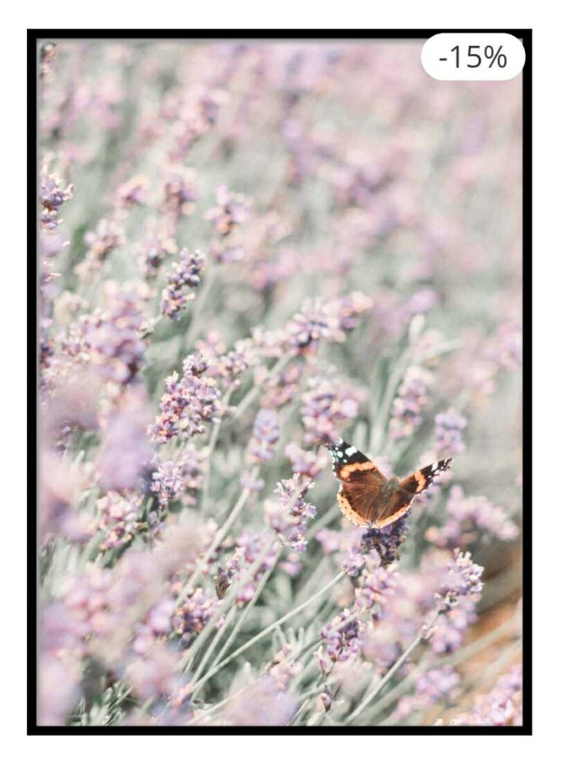 Butterfly on Blossom Poster