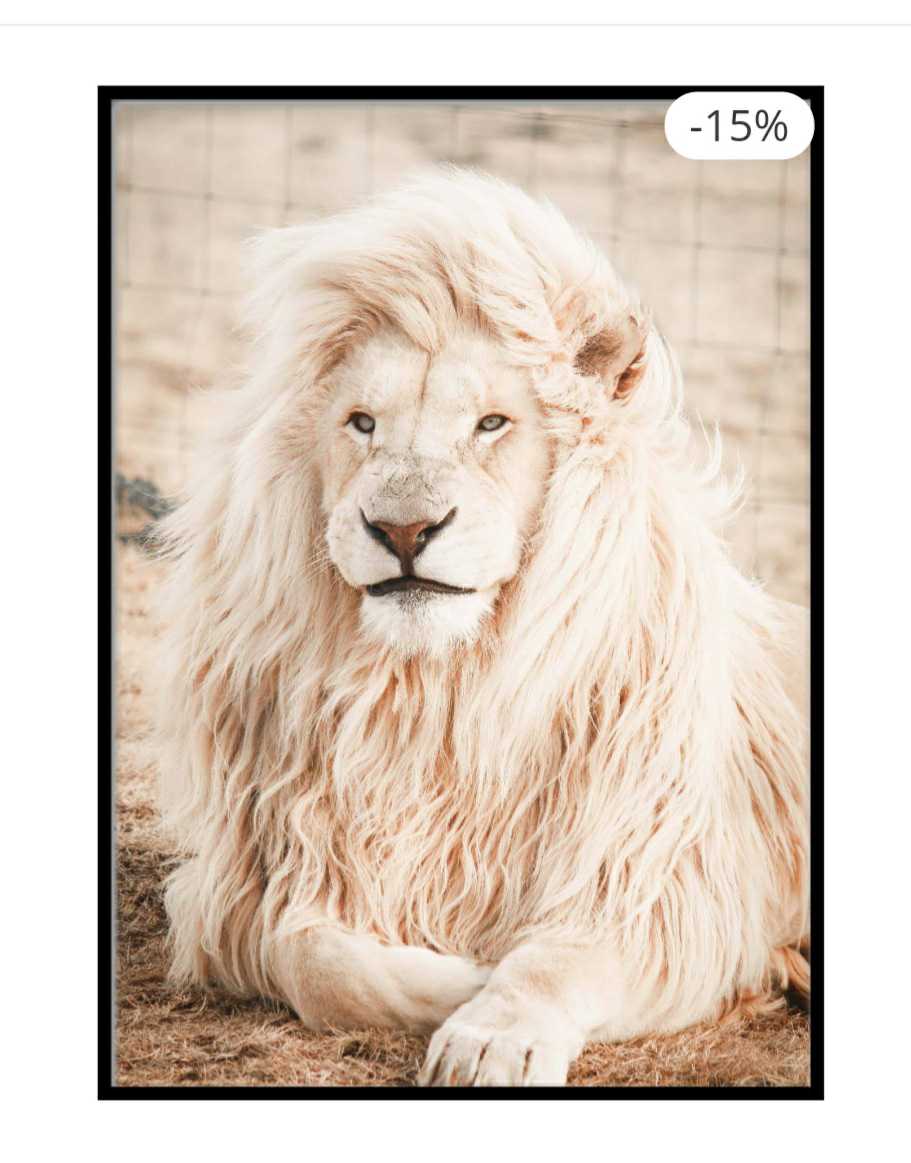 White Lion Poster  
