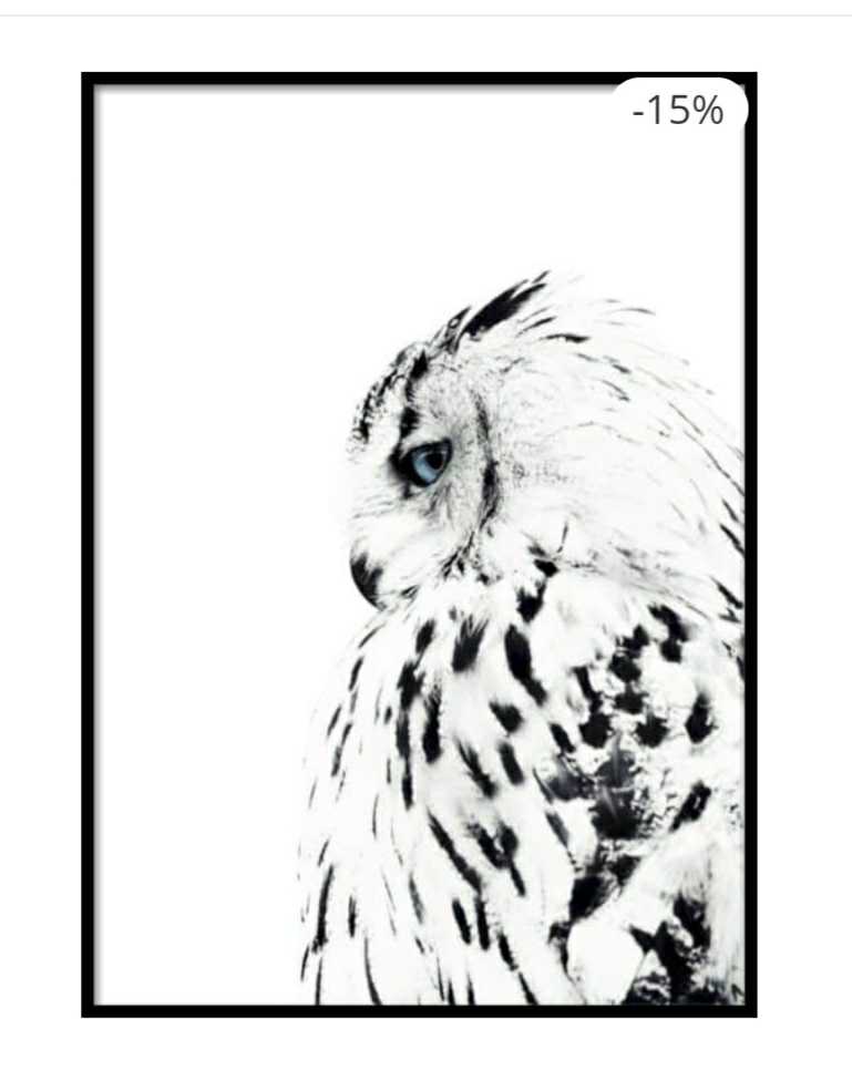 White Owl Side View Poster